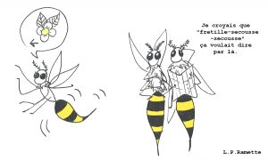 La complexité des vols des abeilles