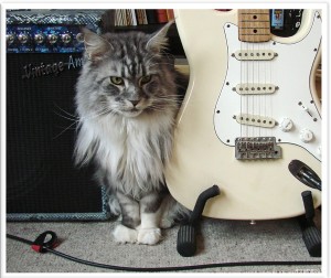 musik-chat