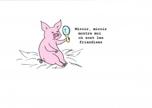 C'est l'histoire d'un cochon et d'un miroir...